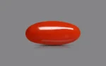 Red Coral - 9.40 Carats