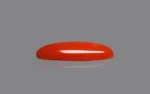 Red Coral - 9.40 Carats - Image 4