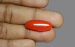 Red Coral - 9.40 Carats - Image 2