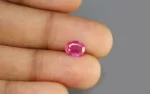 Ruby 8X6 MM - 1.69 Carats - Image 2