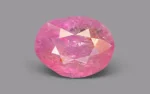 Burmese Ruby - 6.29 Carats