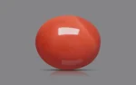 Red Coral - 20.04 Carats