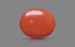 Red Coral - 20.04 Carats - Image 3
