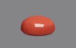 Red Coral - 20.04 Carats - Image 4