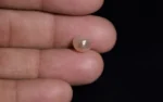 Natural Basra Pearl - 2.88 Carats - Image 2