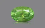 Demantoid Garnet - 1.23 Carats