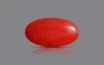 Red Coral - 8.05 Carats - Image 3