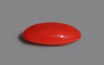 Red Coral - 8.05 Carats - Image 4