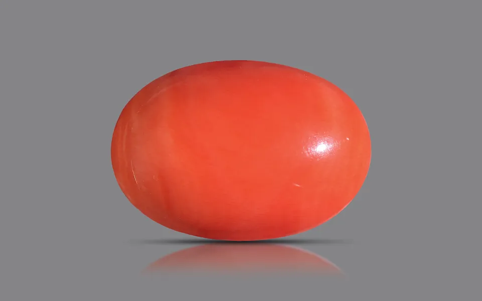 gp147339-1-280225 Red Coral - 16.16 Carats - Image 1