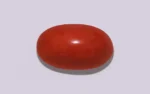 Red Coral - 17.14 Carats