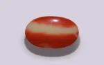 Red Coral - 17.14 Carats - Image 3