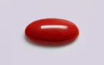 Red Coral - 14.10 Carats