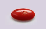 Red Coral - 14.10 Carats - Image 2