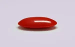 Red Coral - 14.10 Carats - Image 4