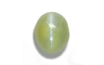 Chrysoberyl Cat's Eye - 5.68 Carats