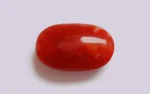 Red Coral - 7.86 Carats - Image 2
