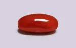 Red Coral - 7.86 Carats - Image 4
