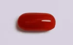 Red Coral - 7.51 Carats