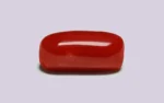 Red Coral - 7.51 Carats - Image 4