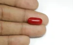 Red Coral - 7.51 Carats - Image 2
