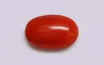Red Coral - 10.54 Carats