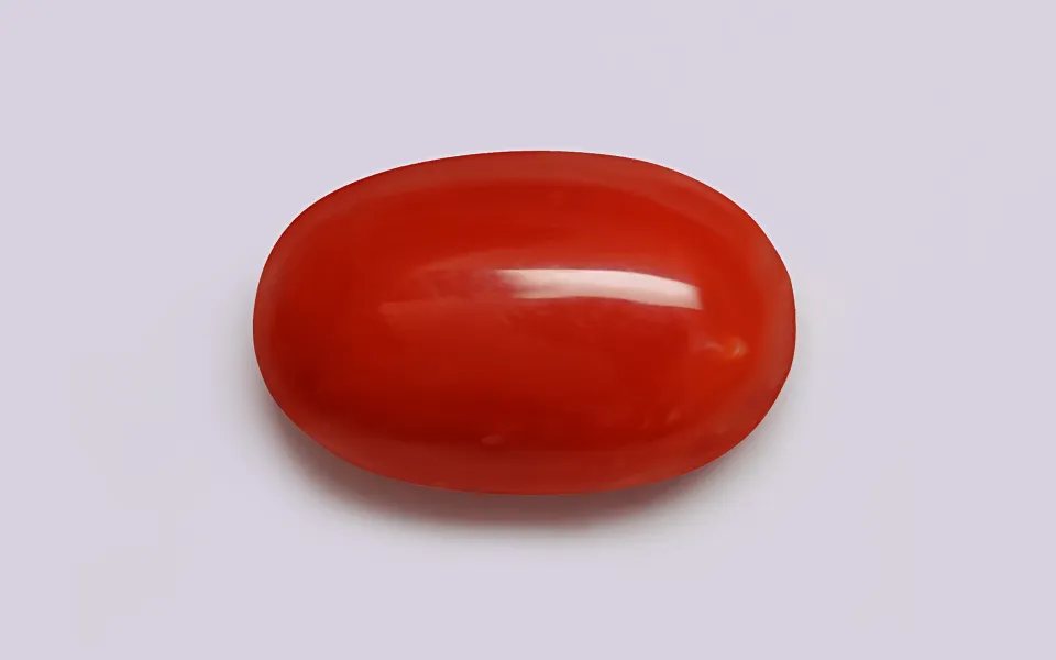 gp152223-1-180625 Red Coral - 10.54 Carats - Image 1