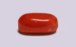 Red Coral - 10.54 Carats - Image 4