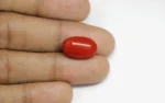 Red Coral - 10.54 Carats - Image 2