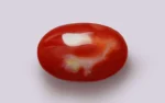 Red Coral - 10.22 Carats - Image 2