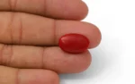 Red Coral - 10.22 Carats - Image 3