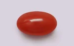 Red Coral - 9.06 Carats