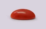 Red Coral - 9.06 Carats - Image 4