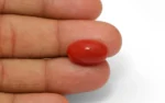 Red Coral - 9.06 Carats - Image 3