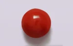 Red Coral 13 MM - 7.45 Carats