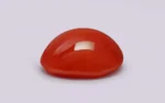 Red Coral 13 MM - 7.45 Carats - Image 4
