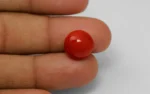 Red Coral 13 MM - 7.45 Carats - Image 2