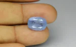 Blue Sapphire - 11.73 Carats - Image 2