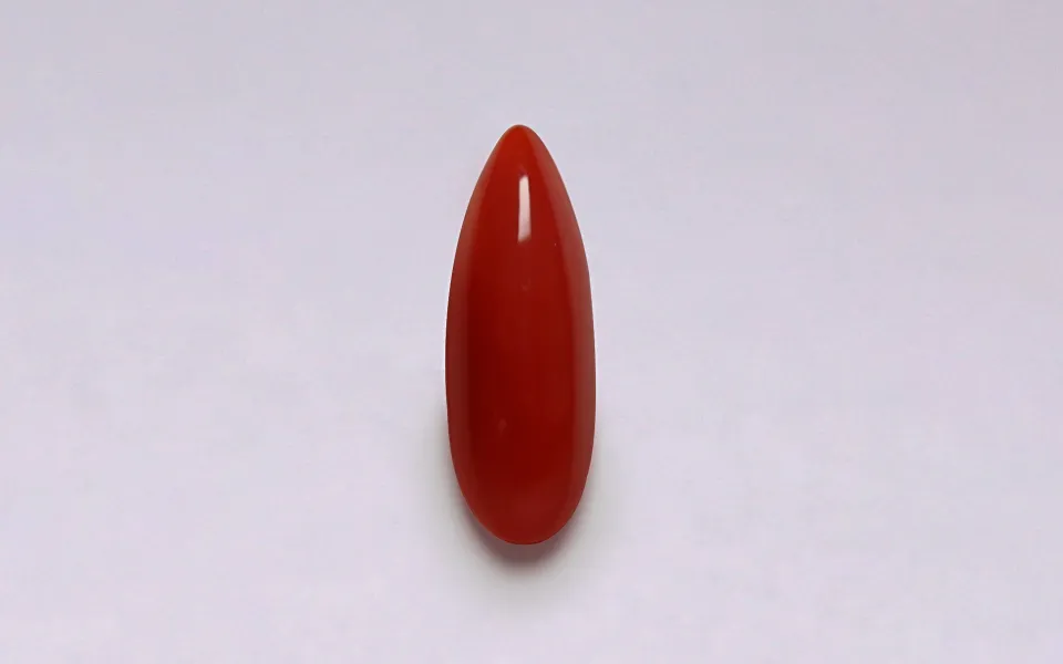 gp157736-1-70326 Red Coral - 6.93 Carats - Image 1