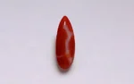 Red Coral - 6.93 Carats - Image 3