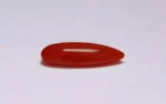 Red Coral - 6.93 Carats - Image 4
