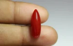Red Coral - 6.93 Carats - Image 2