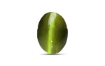Deep Green Chrysoberyl Cat's Eye - 4.37 Carats