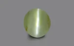 Chrysoberyl Cat's Eye - 7.19 Carats