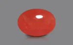 Red Coral - 18.07 Carats