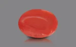 Red Coral - 18.07 Carats - Image 2