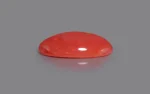 Red Coral - 18.07 Carats - Image 4