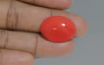 Red Coral - 18.07 Carats - Image 2