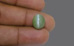 Chrysoberyl Cat's Eye - 11.54 Carats - Image 2