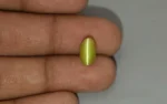 Chrysoberyl Cat's Eye - 5.32 Carats - Image 2