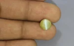 Chrysoberyl Cat's Eye - 6.56 Carats - Image 2